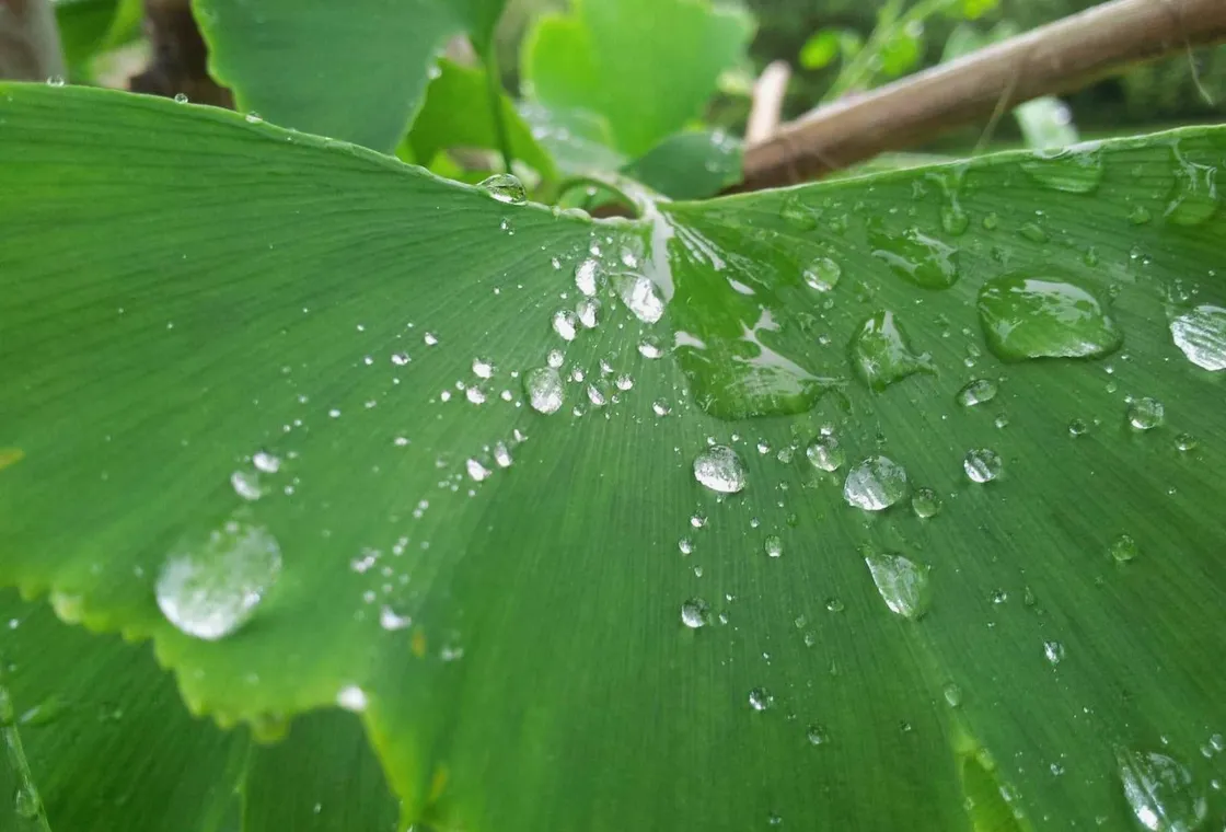 Buzo Jesús拍摄的独立影像，用于向新服务研究数字化协作专题的专题配图